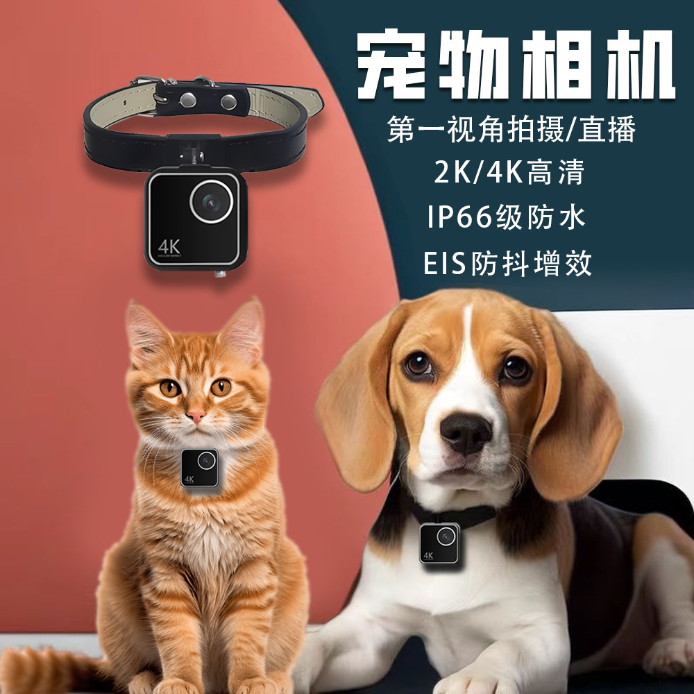 Animal cat dog pet camera firs - огляд і ціна Cameras